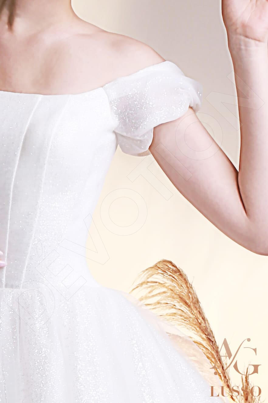 Saida Princess/Ball Gown Off-shoulder/Drop shoulders Lightivory Wedding dress