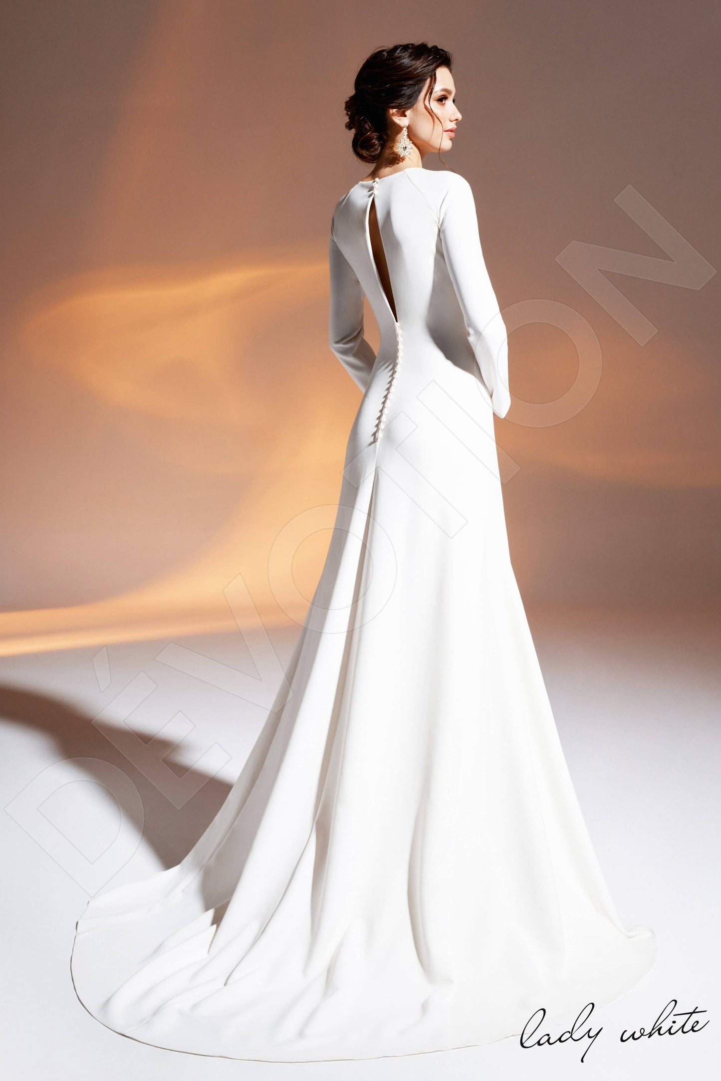 Tabia Open back A-line Long sleeve Wedding Dress Back