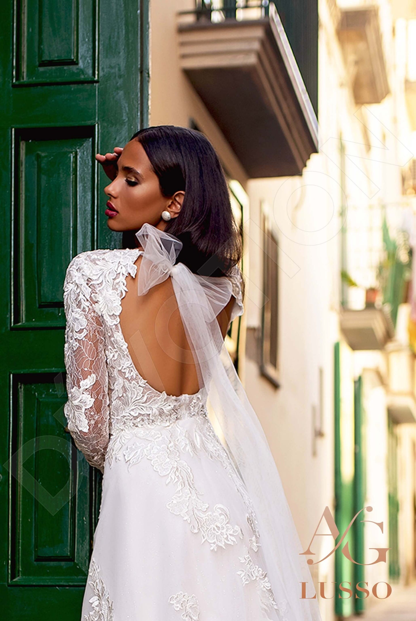 Ferruccio Open back A-line Long sleeve Wedding Dress 3