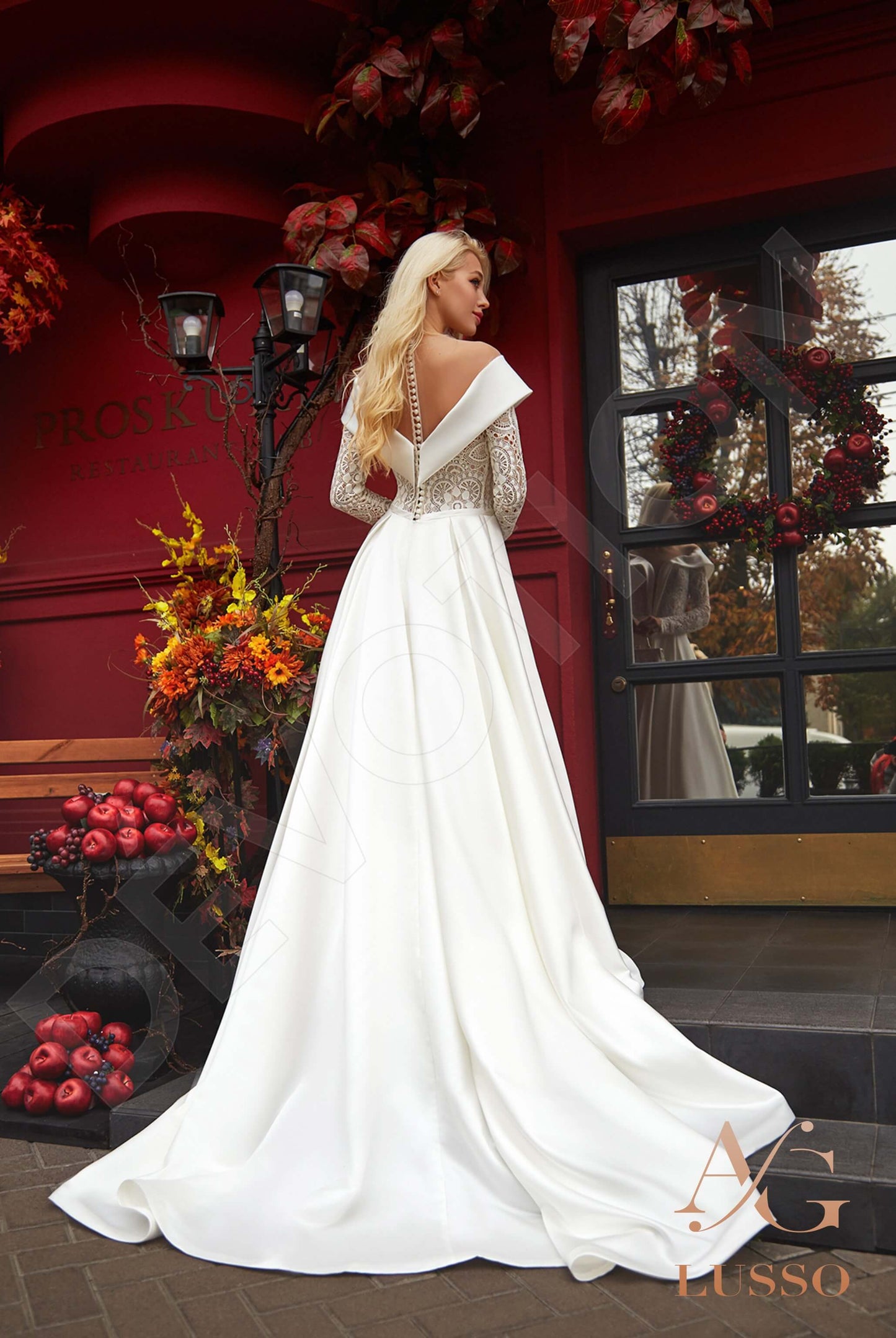 Dacina Illusion back A-line Long sleeve Wedding Dress Back