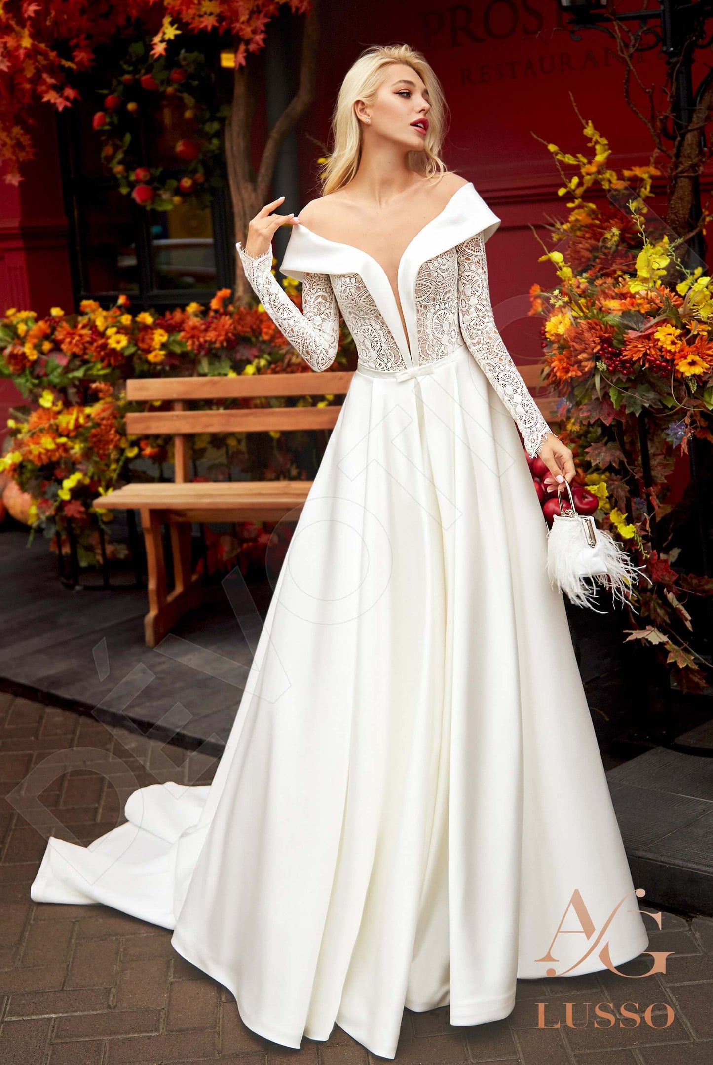 Dacina Illusion back A-line Long sleeve Wedding Dress Front