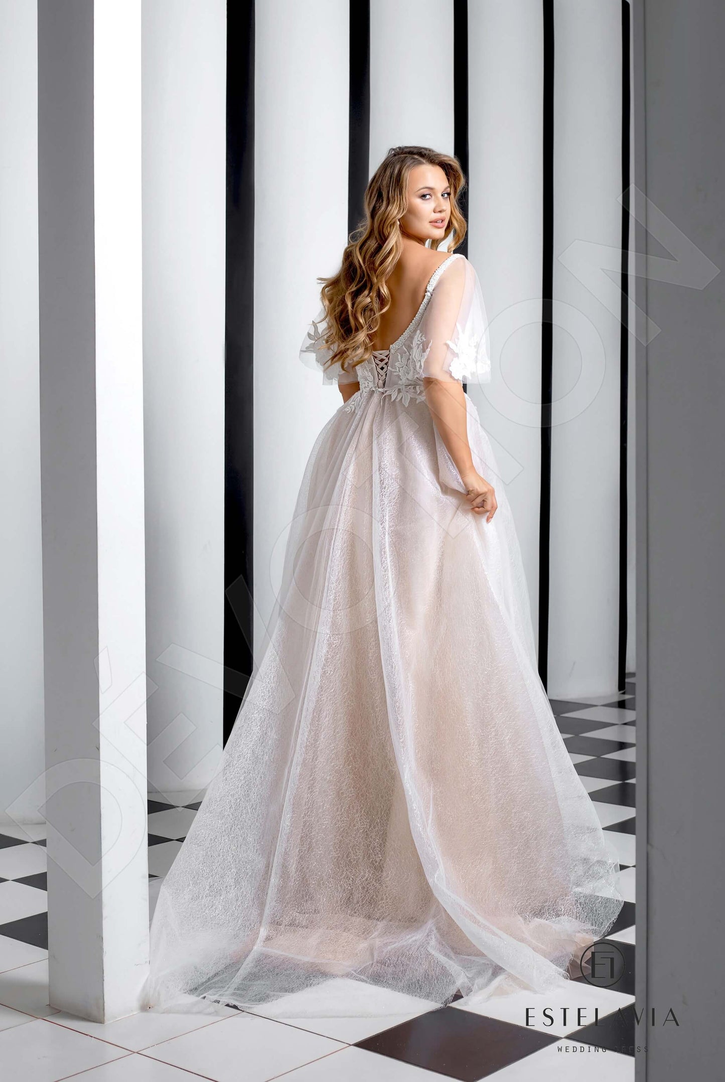 Eviona Open back A-line Short/ Cap sleeve Wedding Dress Back